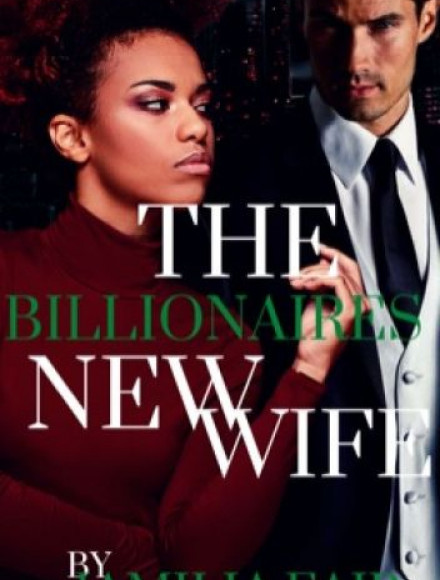 The Billionaires New Wife