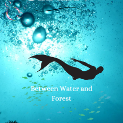 SIREN - Between Water and Forest