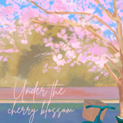 Under the cherry Blossom