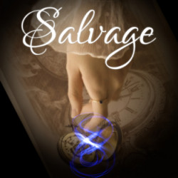 Salvage: A Steampunk/ Gaslamp Fantasy Romance (F/M, M/M)