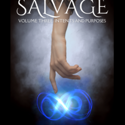 Salvage ~ Vol.3: Intents and Purposes (Steampunk/ Gaslamp Romantasy ~ F/M, M/M)